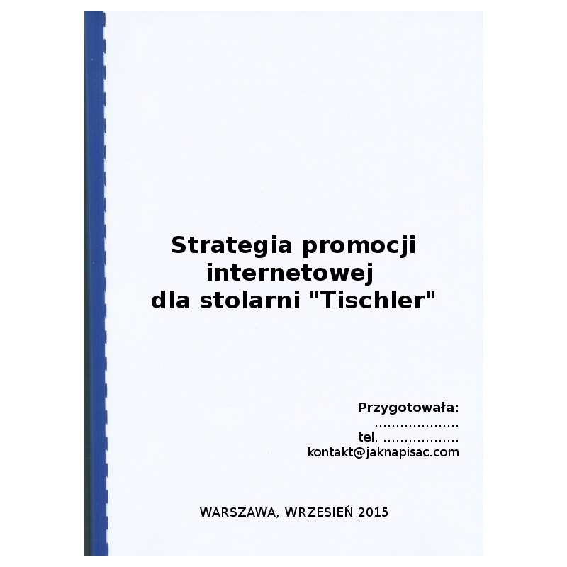 Strategia promocji internetowej dla stolarni "Tischler" - przykład