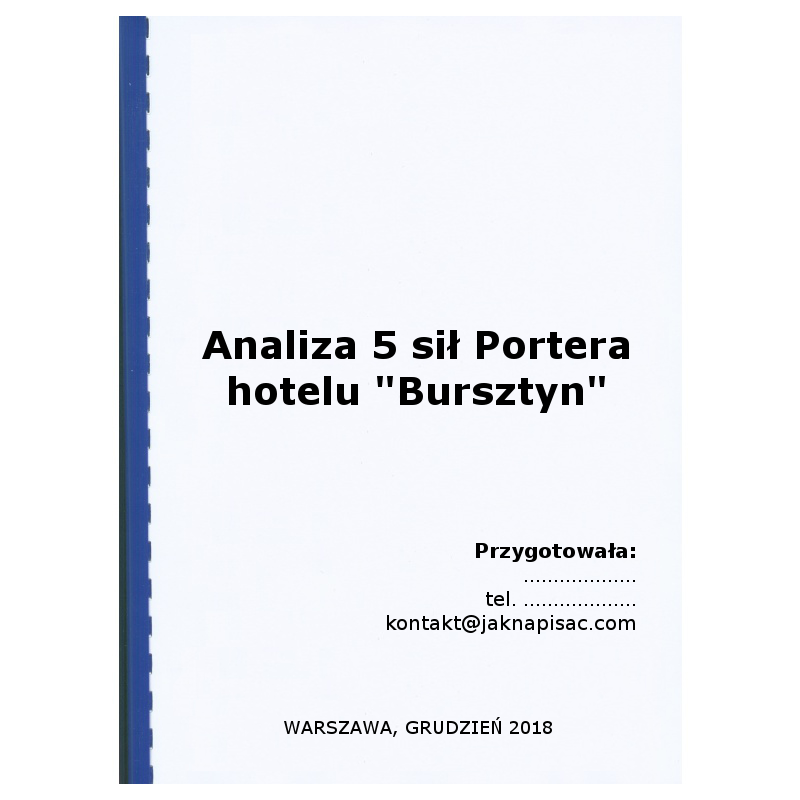 Analiza 5 sił Portera hotelu „Bursztyn”